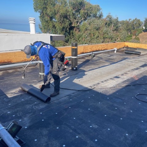 roof