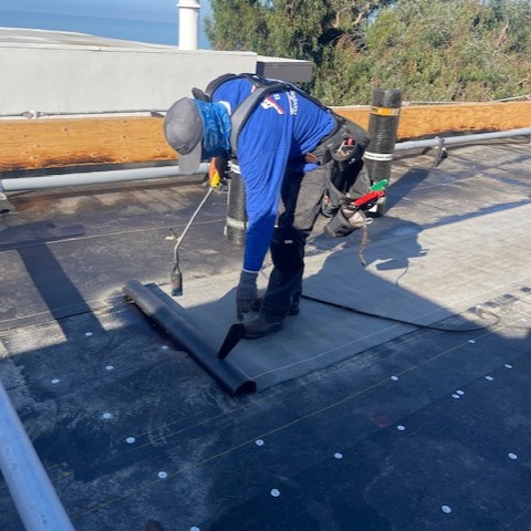 roof