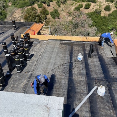roof