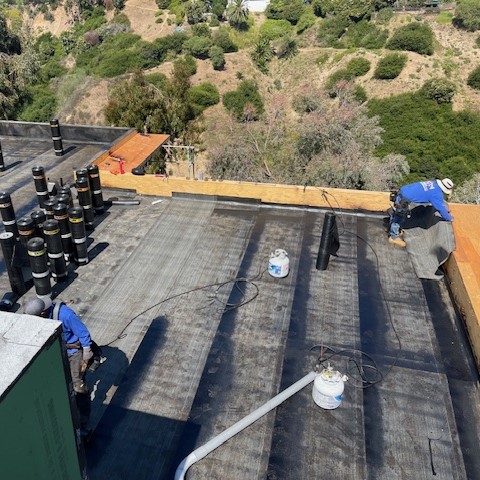 roof