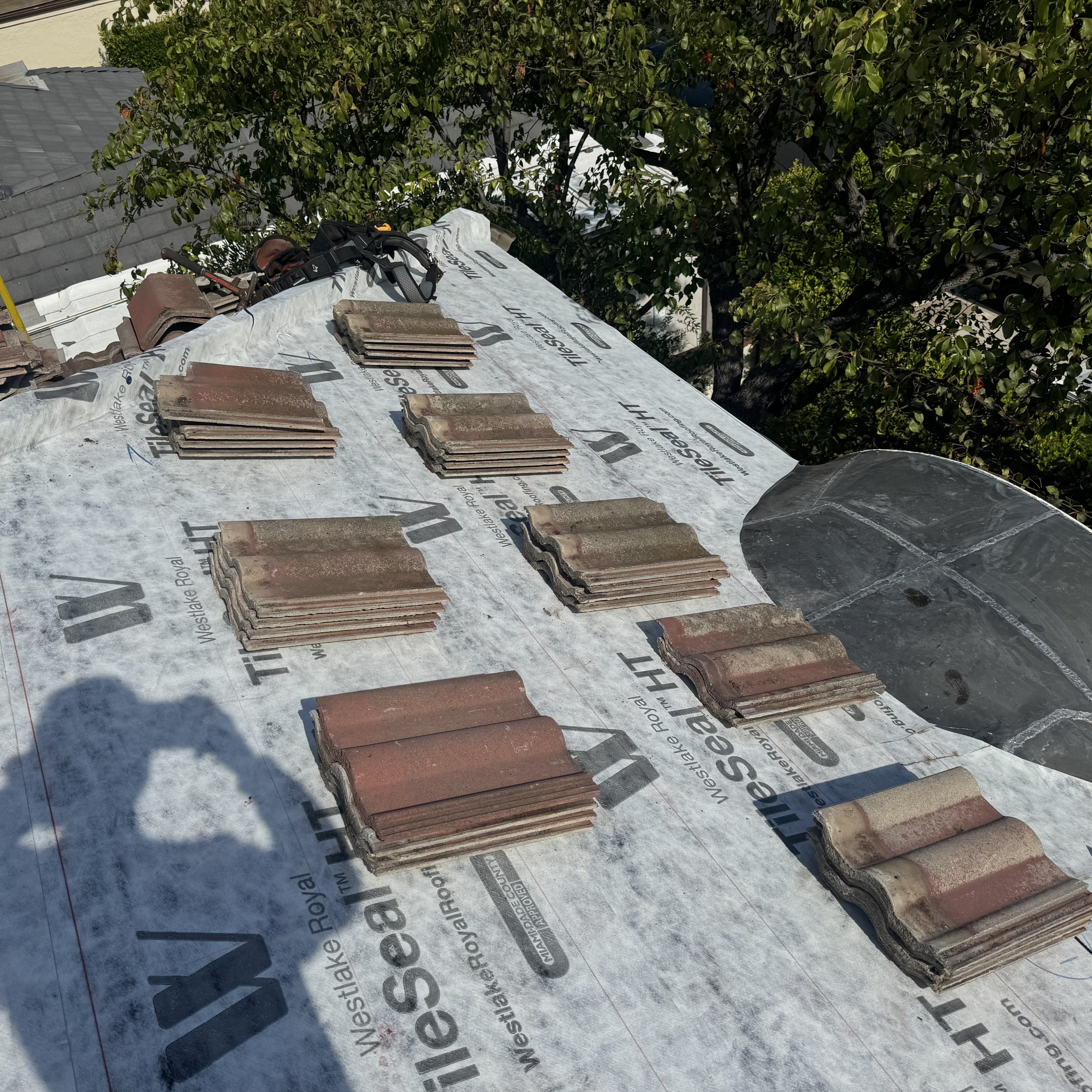 roof