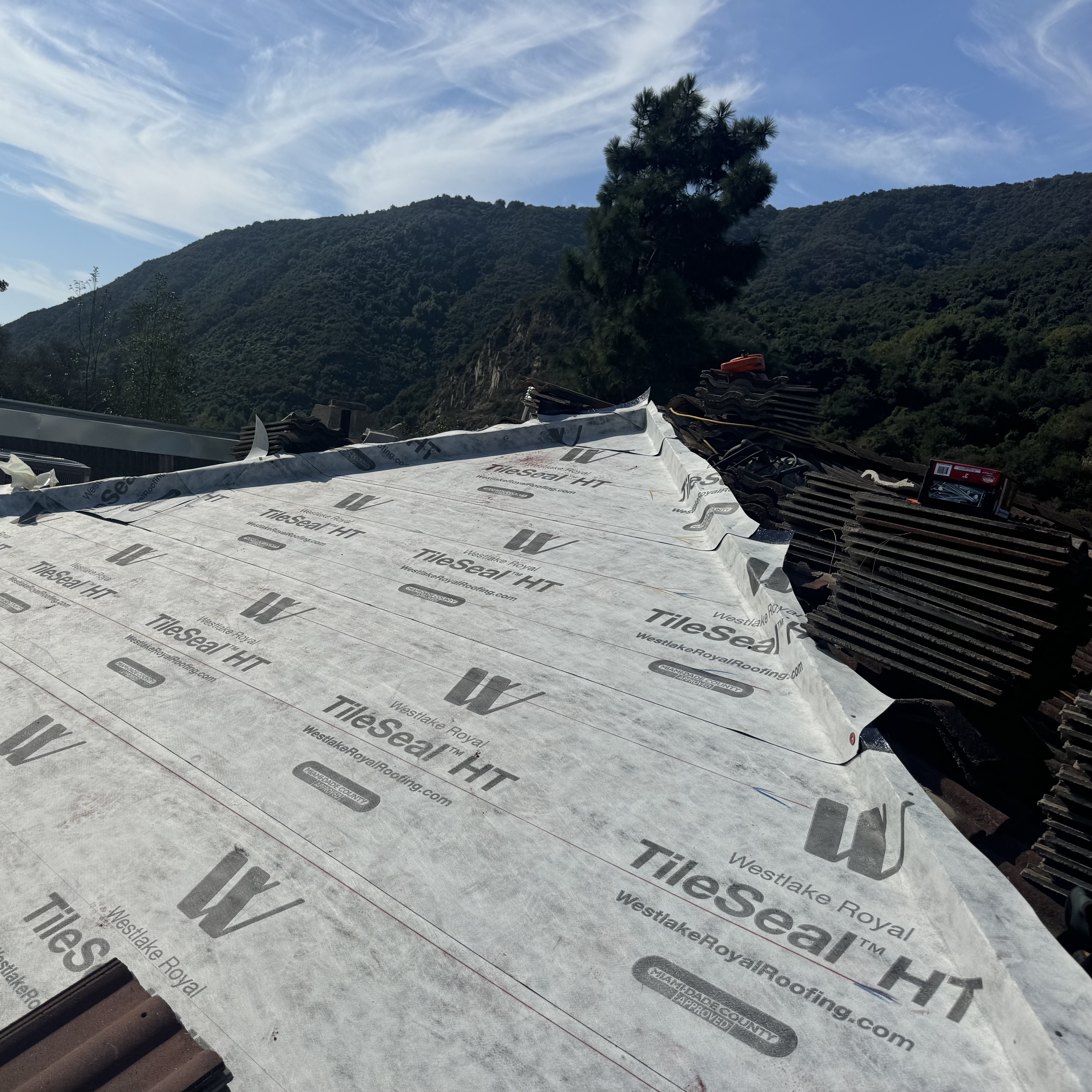 roof